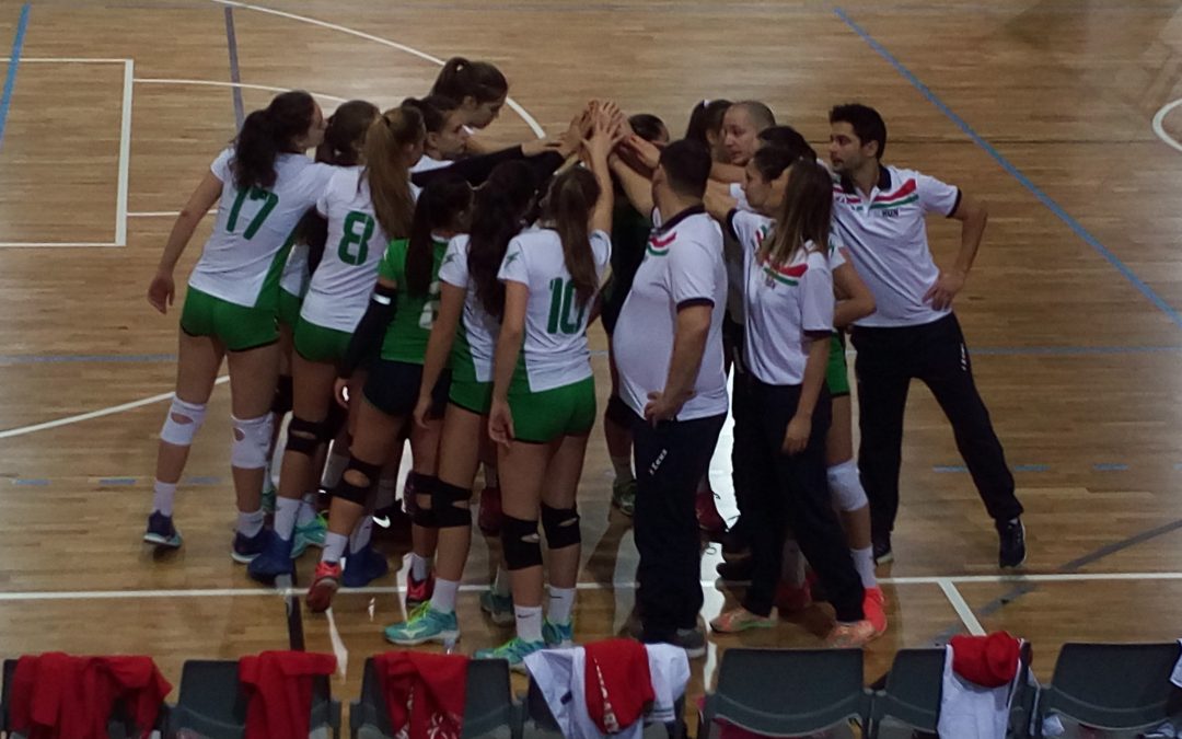 Ki korán kel, az szlovént ver