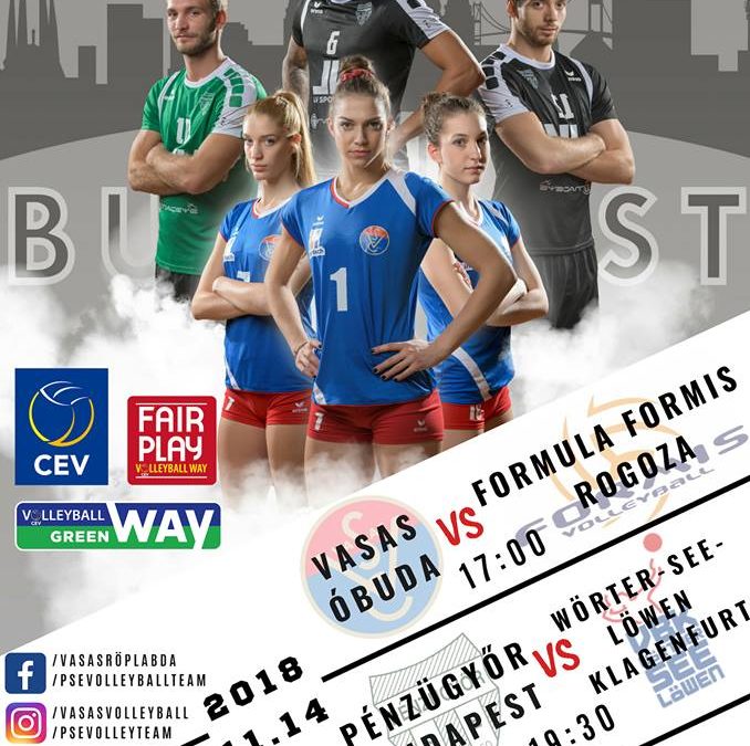 Nemzetközi kupameccseink többsége a laola1.tv-n