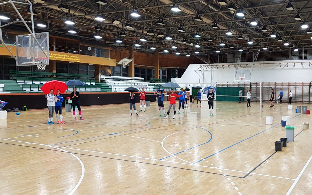 A Tungsram-csarnokban lesz a Gödöllő–Budaörs meccs