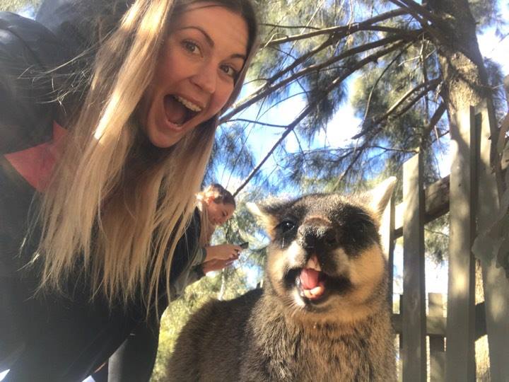 Kenguruk, Salomoni gitárszóló, canberrai városnézés