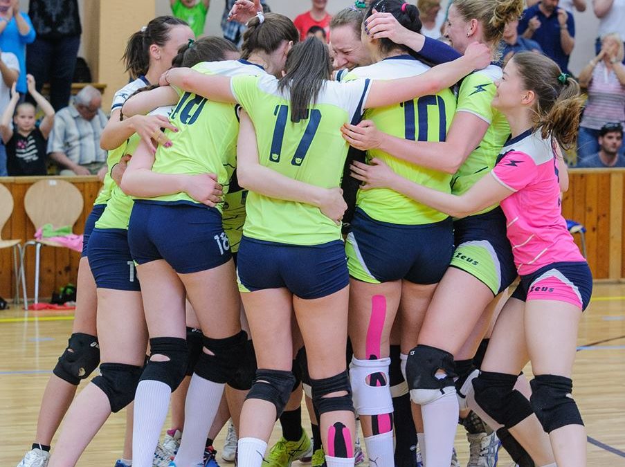 Vajdasági szakember az újonc Haladás kispadján