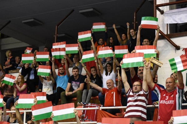 Dánia és Svédország ellen Dunaújvárosban!