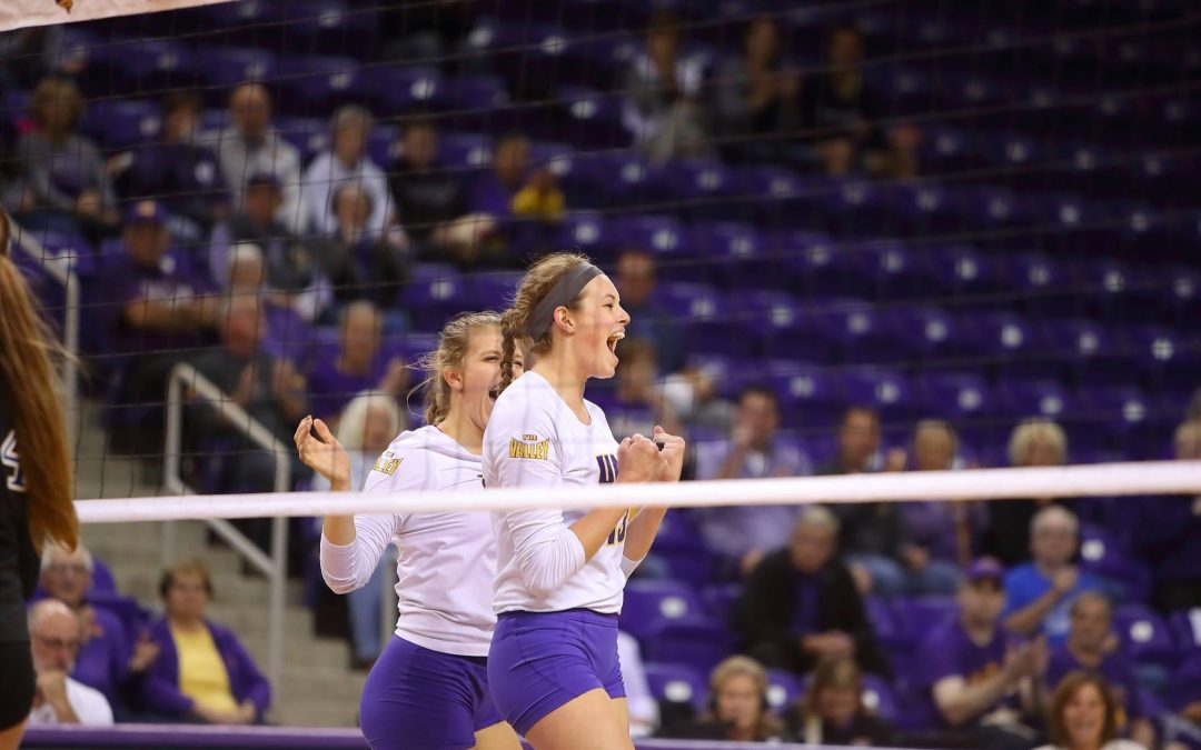 Amerikai centerrel lett teljes a Vasas játékoskerete