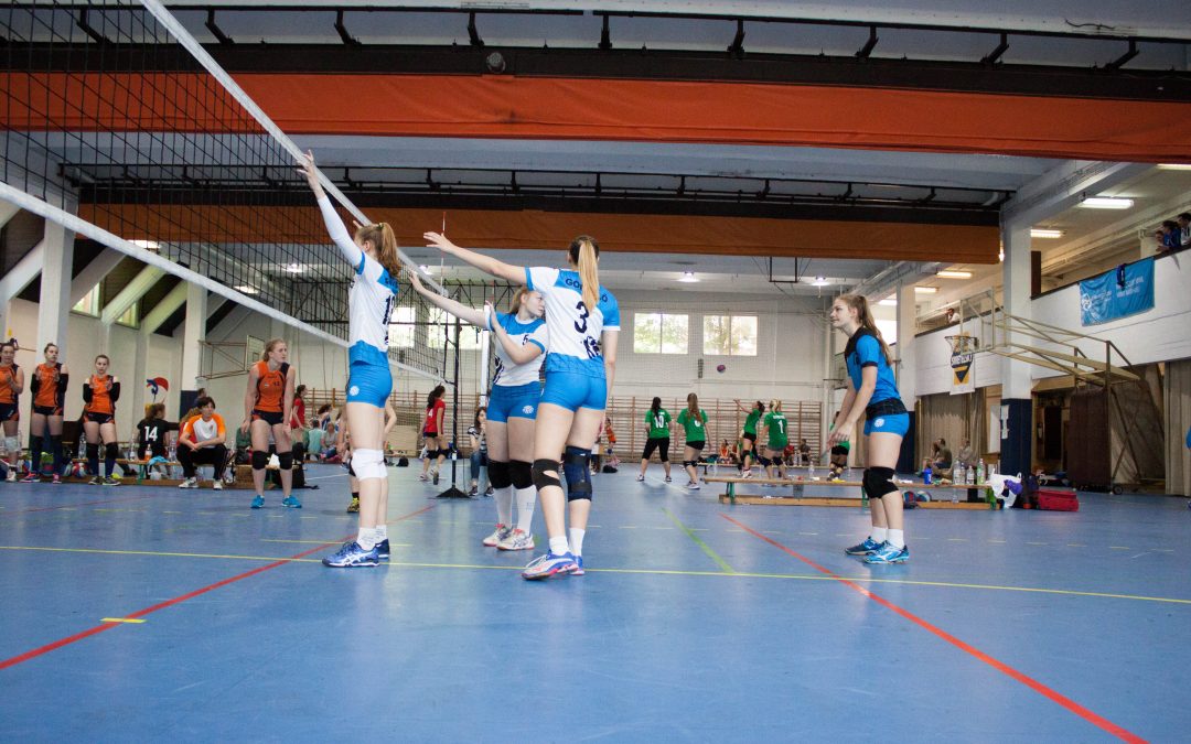 Gödöllői és érdi siker a régiós bajnokságban